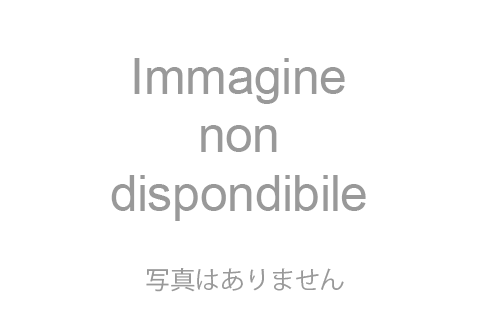 写真はありません
