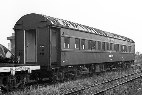 マヤ40 1