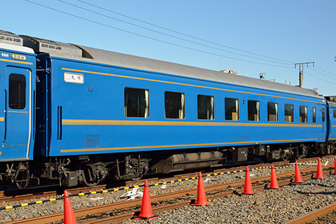 オロハネ25 502