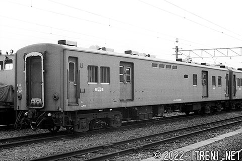 スユニ50 2026