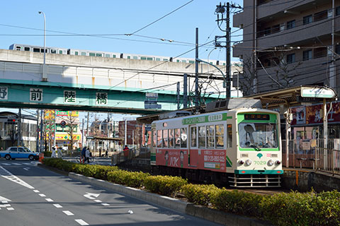 東京都交通局7029